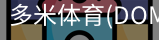 多米体育官网